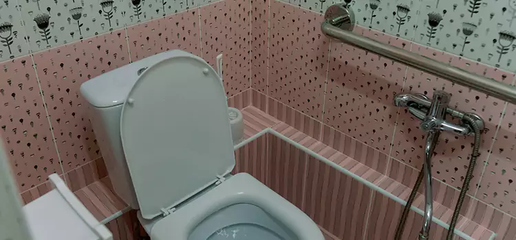 Meeting Diverse Needs With Accessible Restroom Solutions in Lacombe, AB