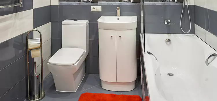 Hansgrohe Shaving Mirror Lacombe